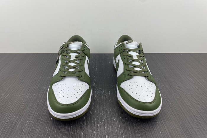NikeDunk Low Medium Olive DD1503-120