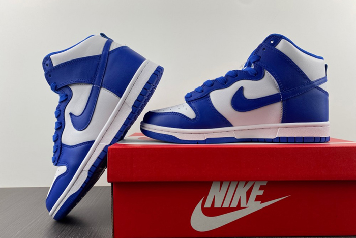 Nike Dunk High