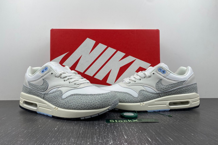 Nike Air Max 1
