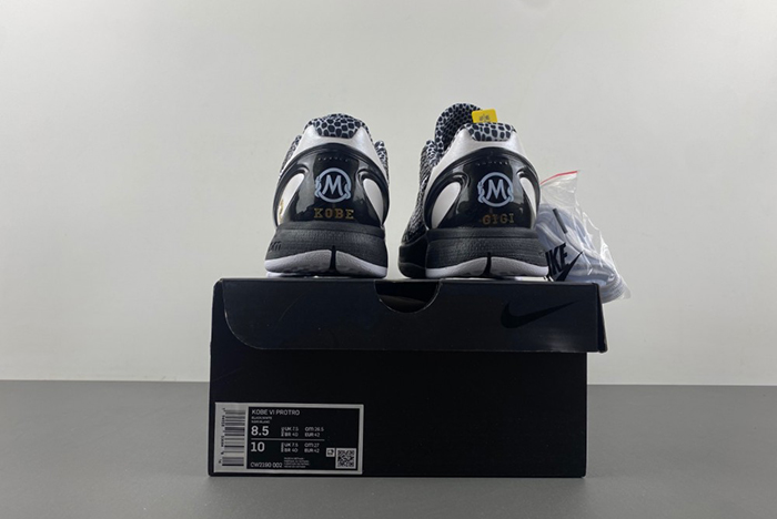 Zoom Kobe 6 Protro